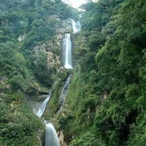 Meet your Posher, Antonio